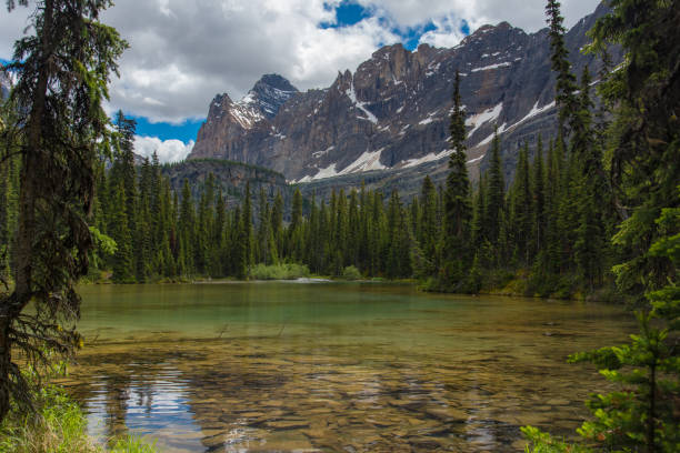 istock Lake Ohara hiking trail in cloudy day in Spring, Yoho, Canada. 1094618506