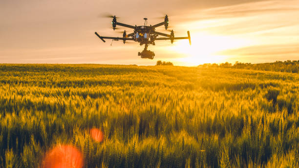 drone volando sobre el campo al atardecer - agricultura fotos fotografías e imágenes de stock
