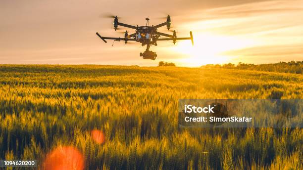 Drone Flying Over Field At Sunset Stock Photo - Download Image Now - Drone Point of View, Agriculture, Technology