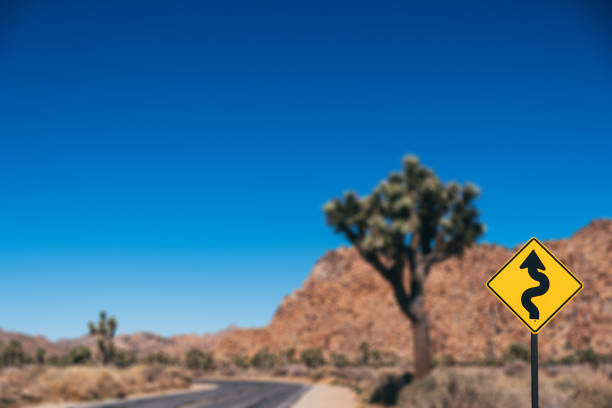 Winding highway through Joshua Tree National Park desert near Jumbo Rocks attraction.