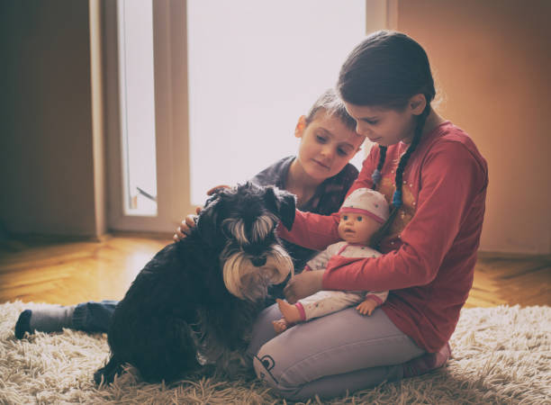 istock Brother and sister with dog on carpet 1094621204