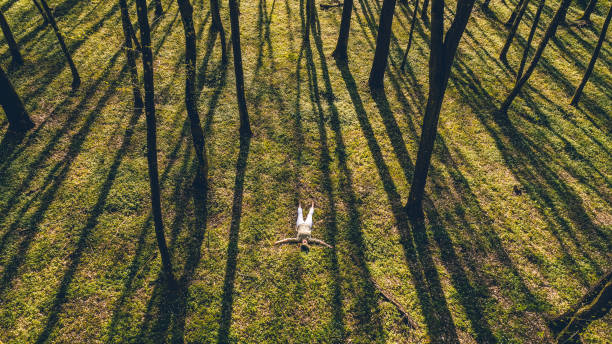 森で草の上に横たわる女性の空撮 - distant field meadow landscape ストックフォトと画像