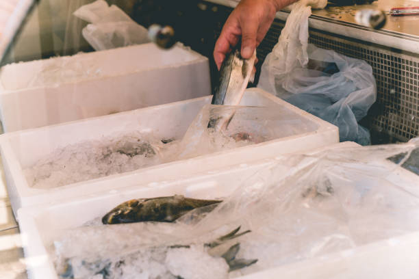 istock Person taking fish out of ice 1094623606
