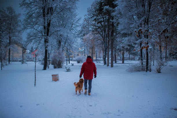 istock Friendship between pet owner and his dog 1094624116