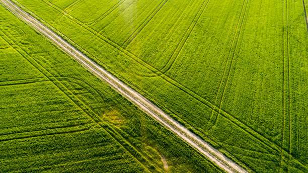 istock Aerial view of land 1094628498