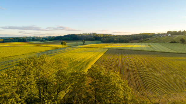 istock Green countryside field, Prekmurje, Slovenia 1094628764