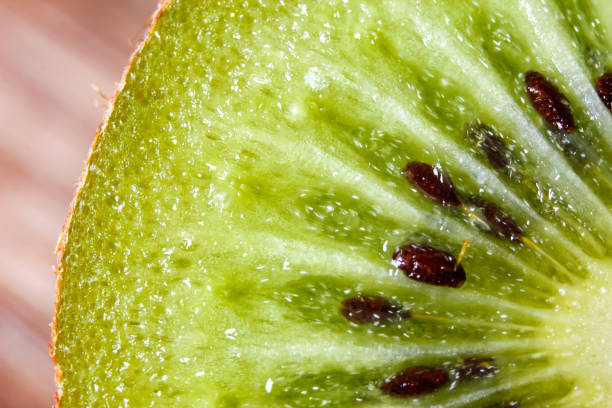 istock Slice of fresh kiwi fruit 1094632320