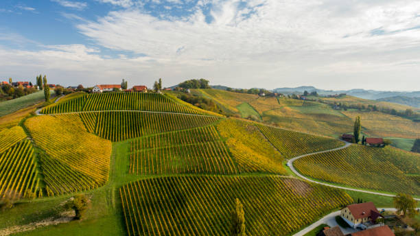 View of green fields in rural area, Picnic,Slovenia