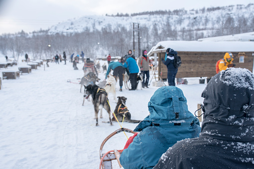 Dog team with tourists, Kirkenes, Norway