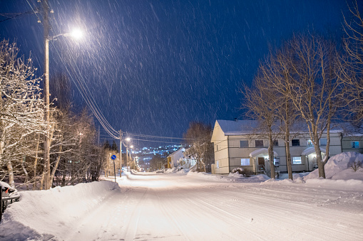 View of lamps,trees and houses when its snowing at night on street