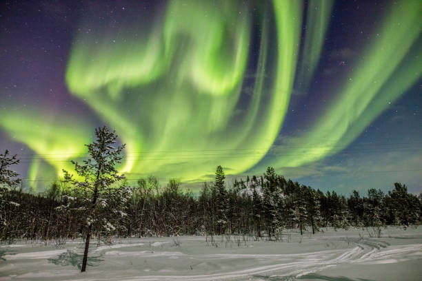 istock View of Aurora borealis over forest 1094636918