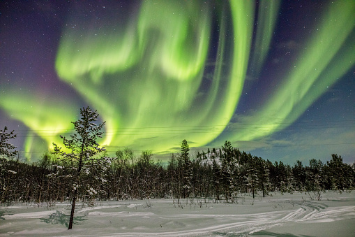 View of Aurora borealis over forest covered in snow