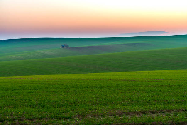 View of field on sunrise