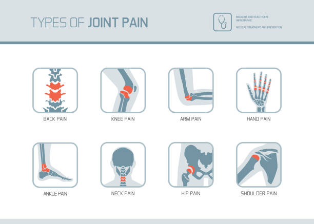 arten von gelenkschmerzen - hüfte stock-grafiken, -clipart, -cartoons und -symbole