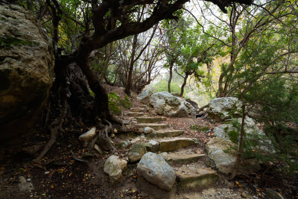 istock Avakas Gorge valley on Cyprus 1094644178