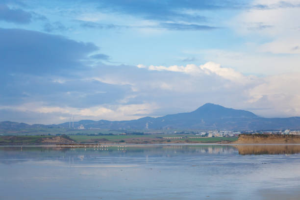 istock Salt Lake with flamingos Larnaca 1094644532
