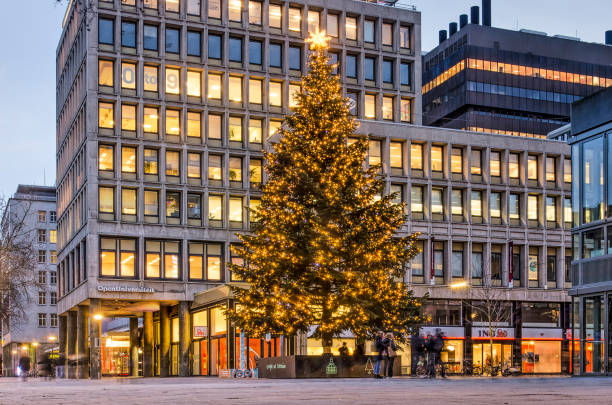 choinka na placu twon hall - netherlands place zdjęcia i obrazy z banku zdjęć