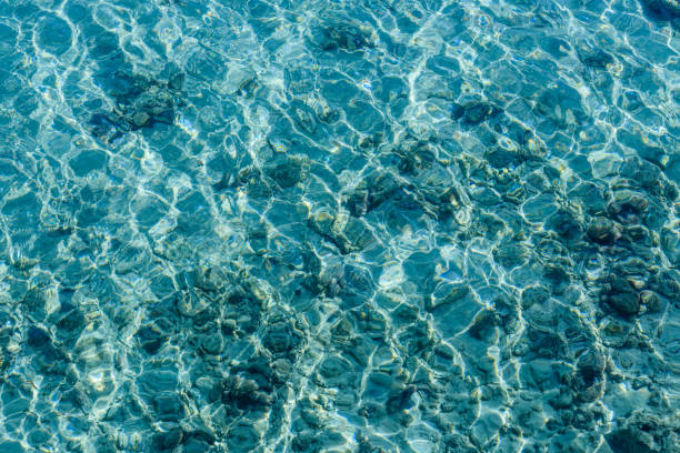 istock Background of Red sea water surface 1094645622