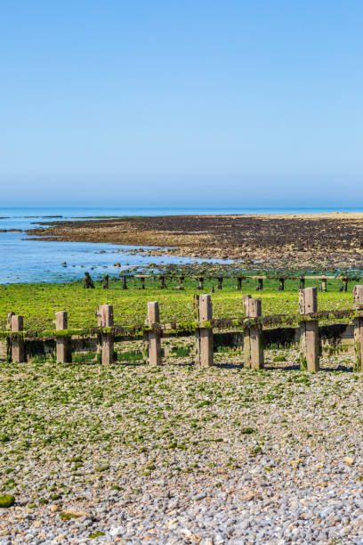 istock Low Tide on the Sussex Coast during Summer 1094646412