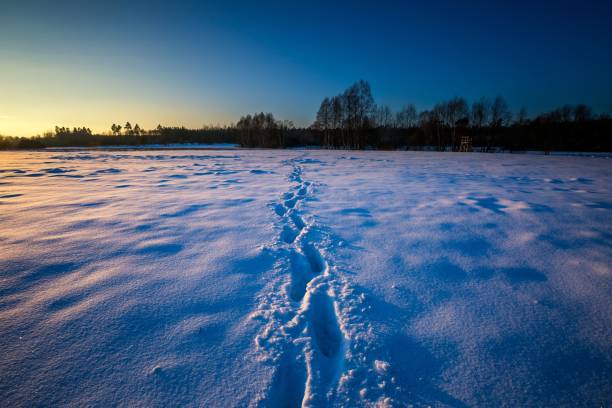 istock Winter landscape at beautiful sunny evening 1094648438