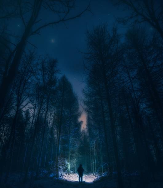 istock Surreal night forest landscape with alone strange man with flashlight. 1094658712