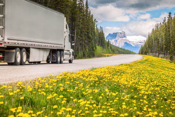 Highway in Jasper National Park