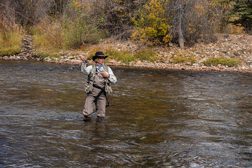 A senior woman fly-fishing in the Blue Rive located in Silverthorne, Summit County, Colorado.  Fall colors are just starting to show.  She is alone in the tranquil environment.