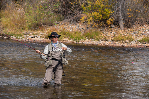 A senior woman fly-fishing in the Blue Rive located in Silverthorne, Summit County, Colorado.  Fall colors are just starting to show.  She is alone in the tranquil environment.