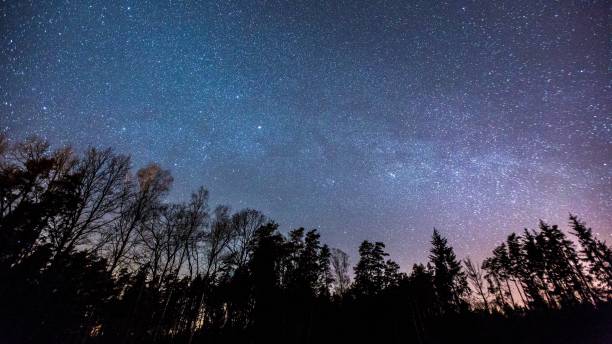 istock Night starry sky with milky way 1094671632