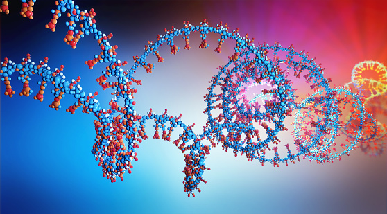 3d illustration of a  part of RNA chain from which the deoxyribonucleic acid or DNA is composed