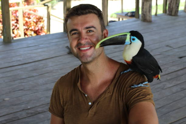 Man and his domesticated toucan bird