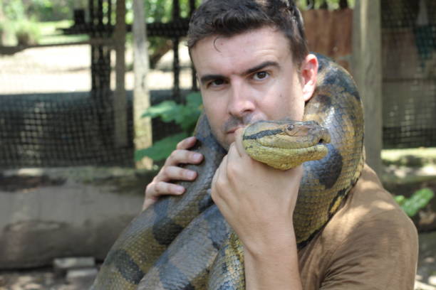 istock Man with a giant Anaconda around his neck 1094690126