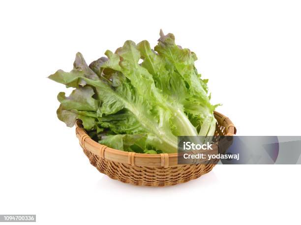 Fresh Red Oak Lettuce In Bamboo Basket On White Background Stock Photo - Download Image Now