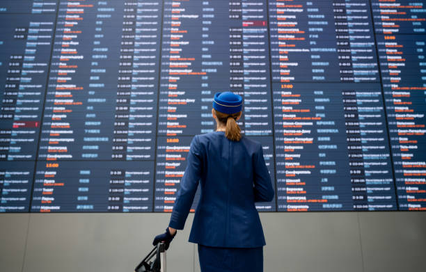 auxiliar de vuelo en el aeropuerto de comprobación de un tablero de salida llegada - aeromoza fotografías e imágenes de stock