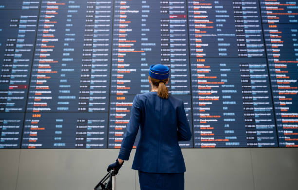 Flight attendant at the airport checking an arrival departure board Portrait of a flight attendant at the airport checking an arrival departure board and carrying her luggage air stewardess stock pictures, royalty-free photos & images