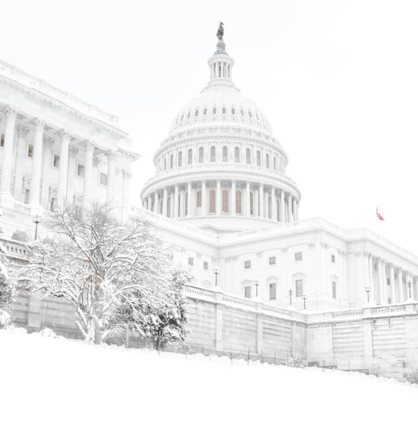 istock The U.S. Capitol Building with Snow in Washington, D.C. 1094719568