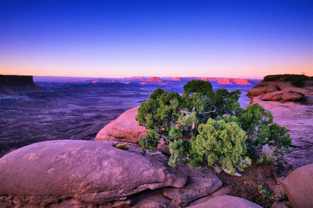 istock Canyonlands National Park 1094728518