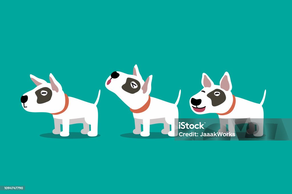 Set of vector cartoon character bull terrier dog poses Set of vector cartoon character bull terrier dog poses for design. Dog stock vector