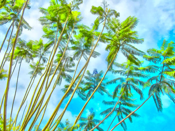 istock Palm trees against the blue sky. Digital painting - illustration. 1094747852
