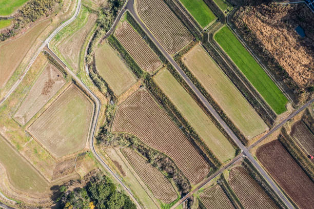 Agriculture is taking place in the mountainous land where nature is overflowing