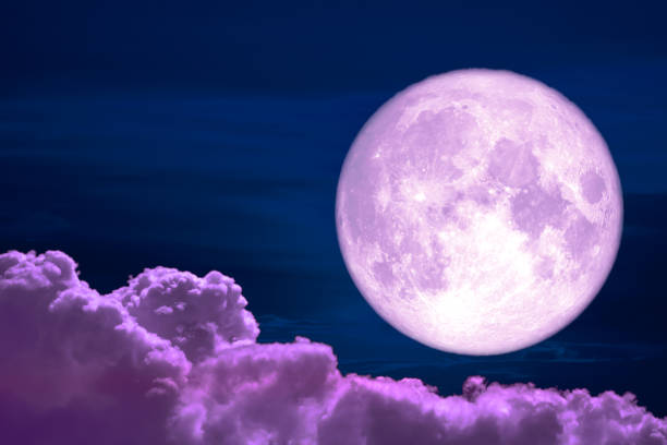 istock wolf moon back on silhouette colorful heap cloud on night sky 1094752860
