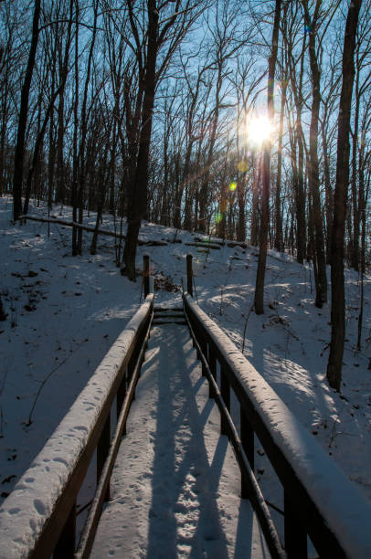 istock Trail - Rockwoods Reservation Sunset Bridge 1094755342