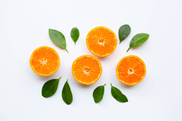 istock Orange fruits with  leaves on white background. 1094757310