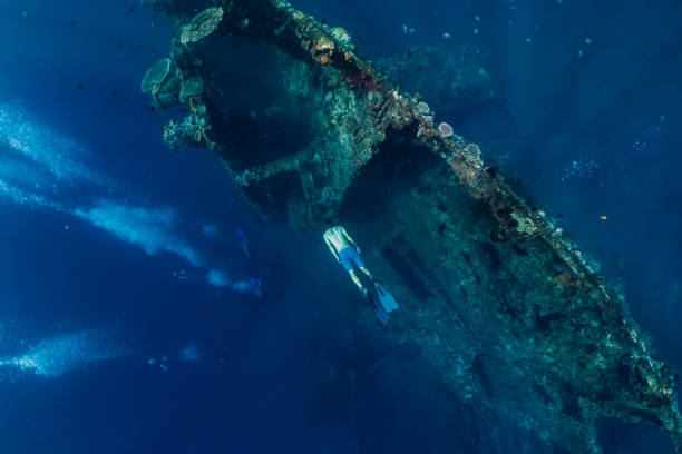 istock Free diver man dive at shipwreck, underwater 1094761348