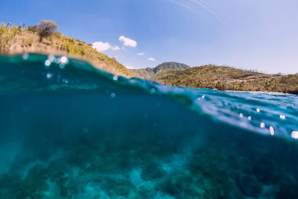 istock Underwater scene with clear ocean water and mountains. 1094761596