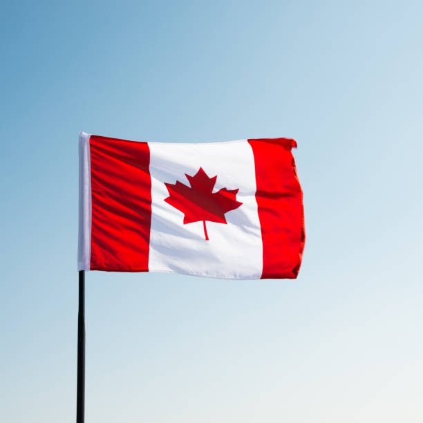 istock Canadian flag waving  against clear blue sky 1094764332
