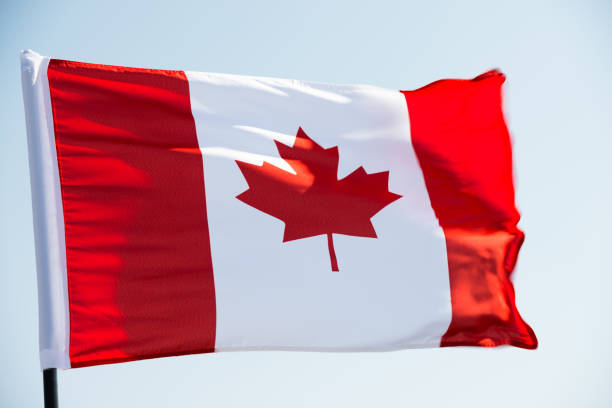 istock Canadian flag waving  against clear blue sky 1094764394