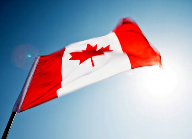 istock Canadian flag waving  against clear blue sky 1094764410