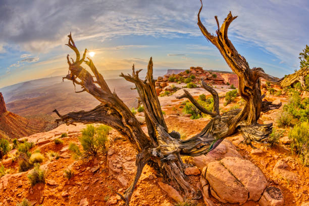 istock Canyonlands National Park 1094771054