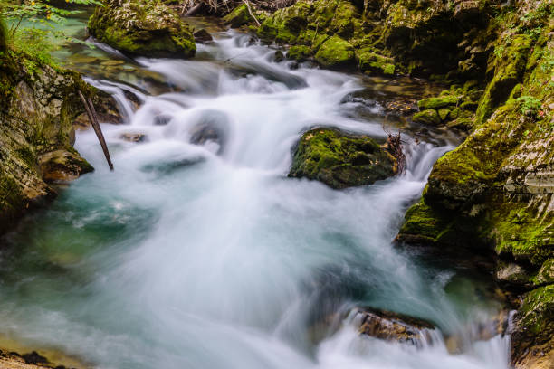 istock Mountain river Radovna in Slovenia 1094775018